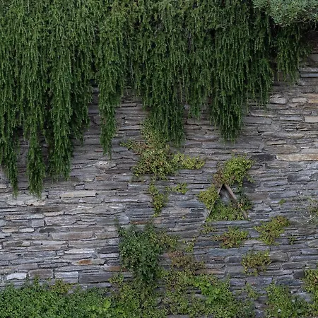 Hotel Perla Pool Andros