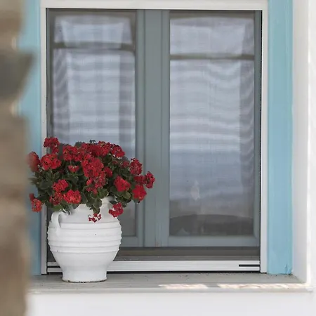 Hotel Perla Pool Andros *