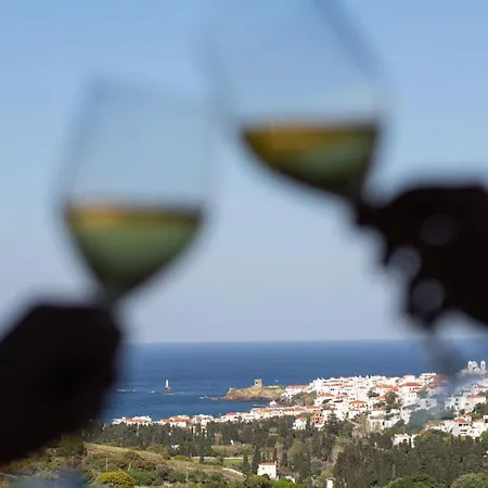 Perla Pool Andros Ménites