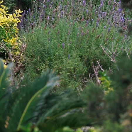 Perla Pool Andros מלון Ménites