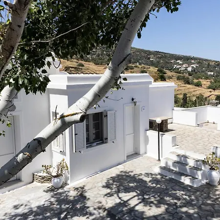 Perla Pool Andros *