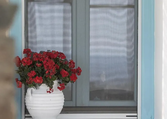 Otel Perla Pool Andros *