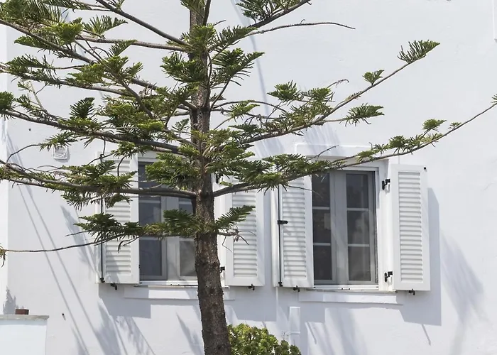 Perla Pool Andros Otel