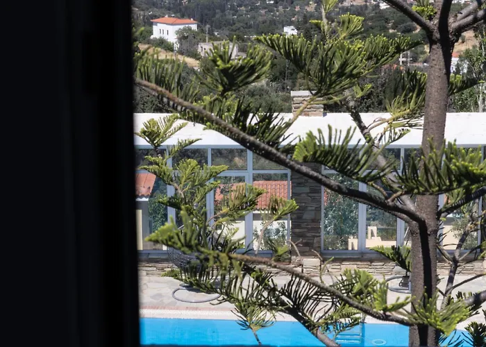 Perla Pool Andros Otel *