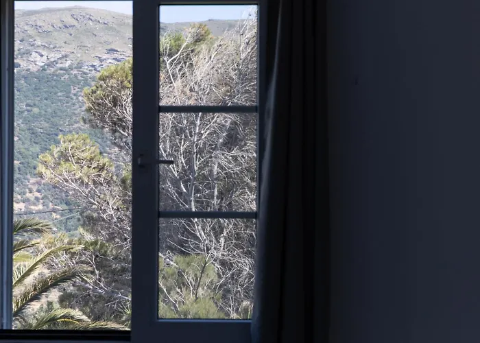 Perla Pool Andros Otel